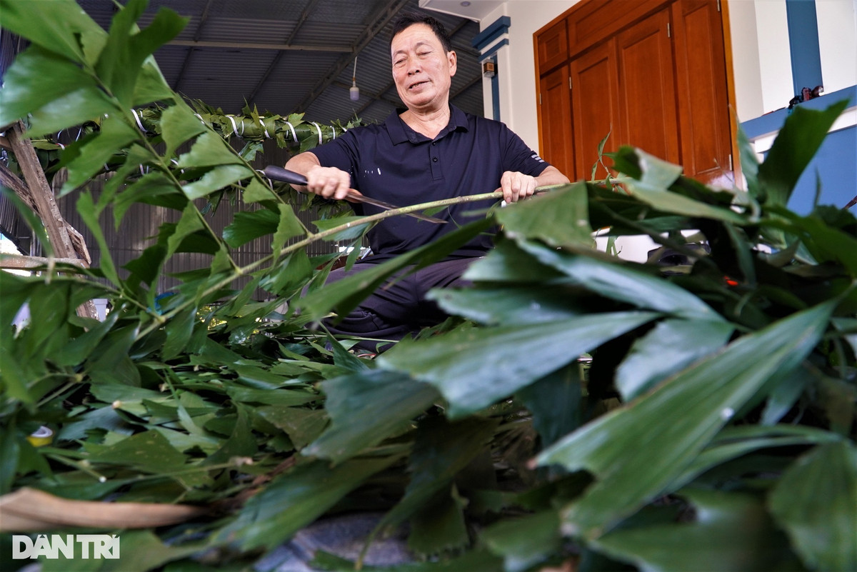 Trên thân cây nêu được quấn lá đủng đỉnh để trang trí. Loại cây này mọc tự nhiên trong rừng, gia đình ông Sáng mua ở huyện miền núi Hương Khê (Hà Tĩnh) với giá 50.000 đồng/bó có 10 cành. Khi mua về, họ sẽ cắt phần lá với nhánh nhỏ, bỏ nhánh to.