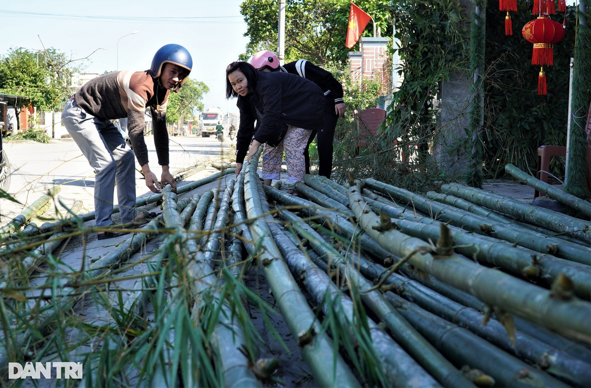 Nêu được làm từ cây tre già, thẳng, dài 10-12m. Theo ông Sáng, cách đây nửa tháng, con trai ông ra tận huyện Đô Lương (Nghệ An) - cách nhà khoảng 100km đặt mua 200 cây tre rồi thuê xe tải chở về. Năm nay, gia đình ông nhận làm 50 cây nêu, còn lại bán cho khách. 