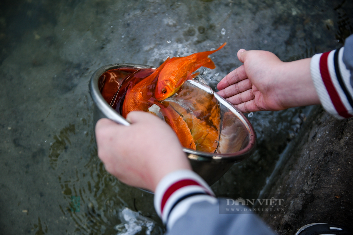 Theo truyền thống, người dân Việt Nam cúng ông Công ông Táo vào ngày 23 tháng Chạp hàng năm. Nhưng trên thực tế, các gia đình có thể lựa chọn thời điểm cúng ông Công ông Táo trước ngày 23 tháng Chạp. 