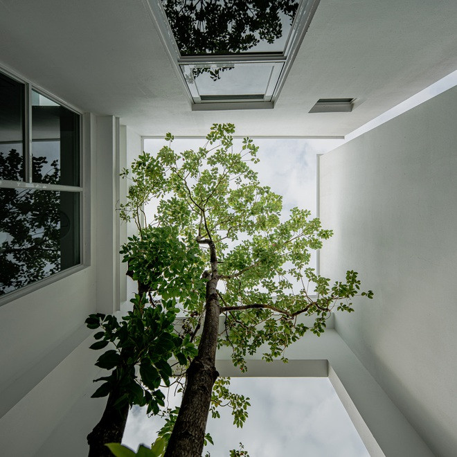 He lo dieu bat ngo nam trong ngoi nha nhin be ngoai nhu lo cot-Hinh-5