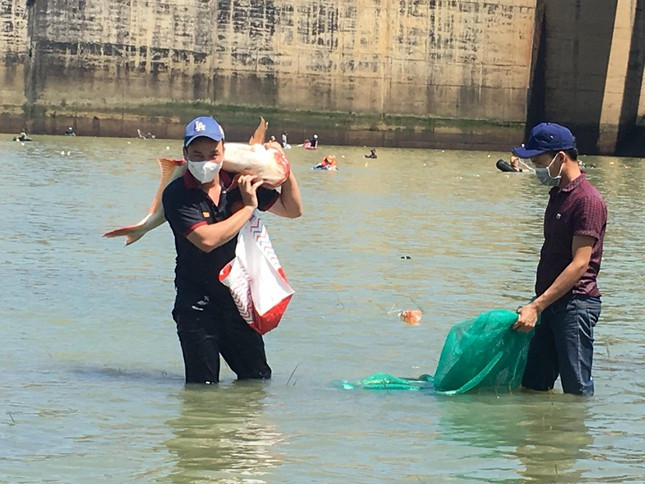 Người trúng, thì bắt được những con hơn chục kg và bán ngay tại chỗ. Anh Nguyễn Văn An, nhà ở thị trấn Vĩnh An có lẽ là người vui nhất trong ‘hội’ bắt cá khi bán ‘đấu giá’ ngay tại chỗ con cá lăng với giá 1,5 triệu đồng.
