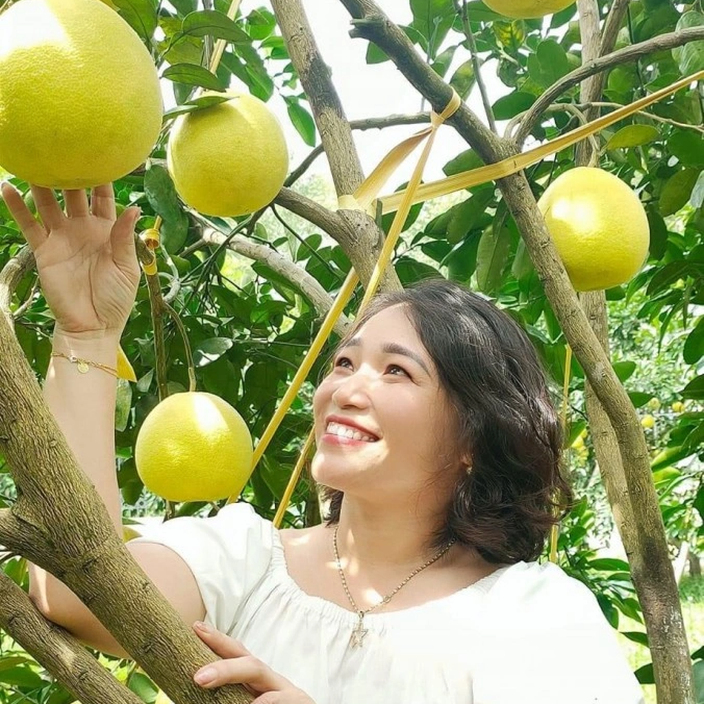 Bưởi Phúc Trạch- “Đệ nhất danh quả” giúp nông dân kiếm 590 tỷ đồng Buoi Phuc Trach- “De nhat danh qua” giup nong dan kiem 590 ty dong