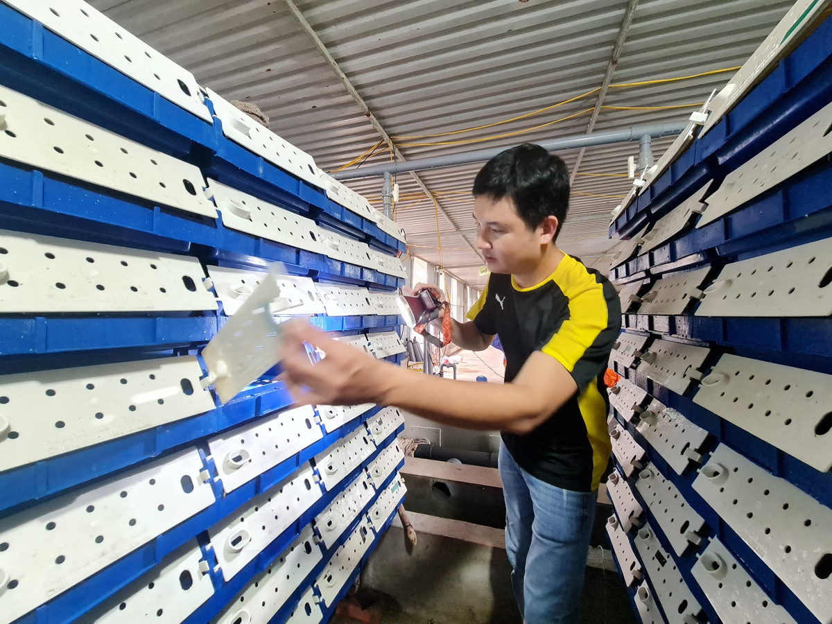 8X chở nước biển về Hà Nội… nuôi cua lột 8X cho nuoc bien ve Ha Noi… nuoi cua lot