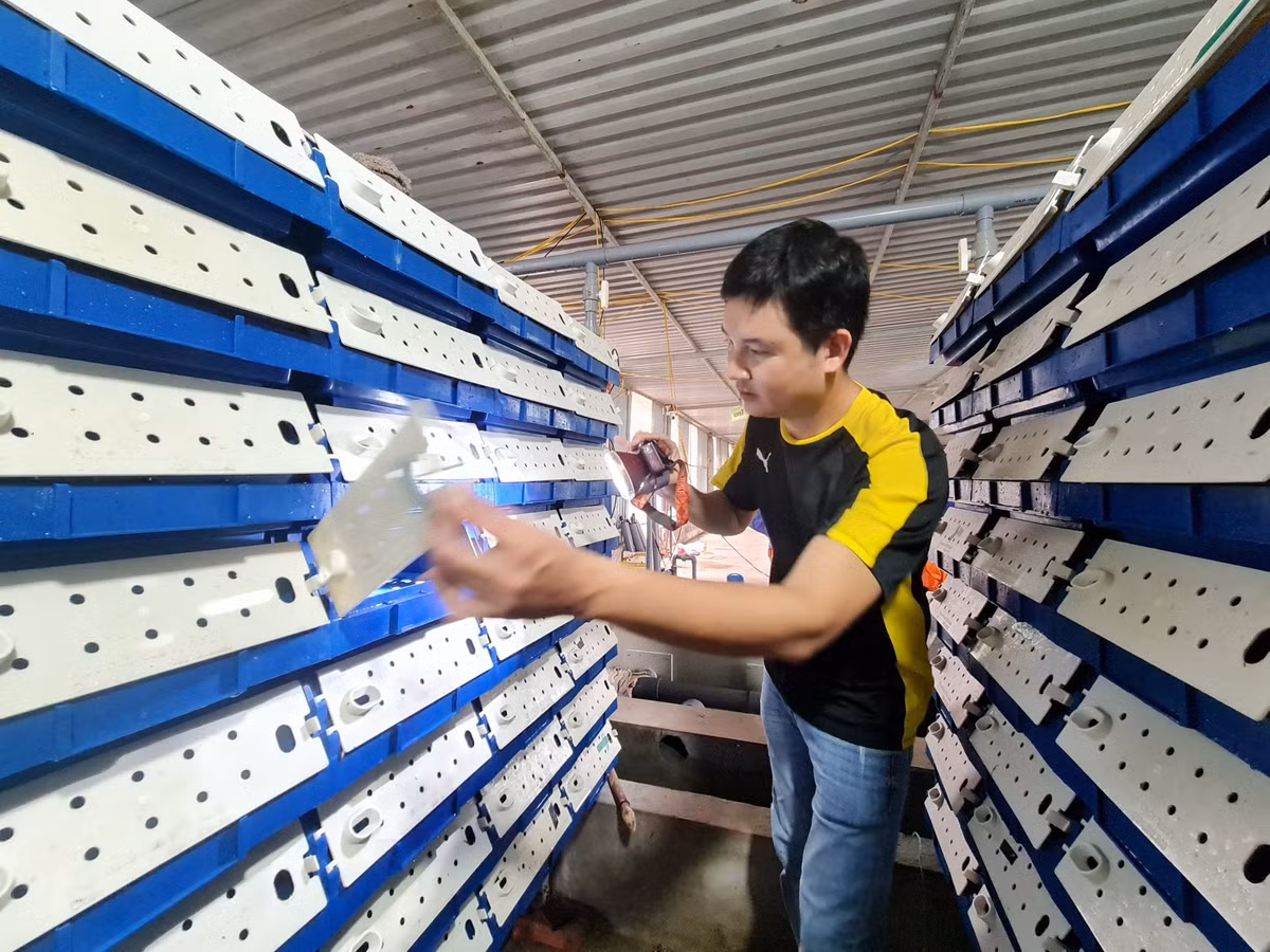 8X chở nước biển về Hà Nội… nuôi cua lột 8X cho nuoc bien ve Ha Noi… nuoi cua lot