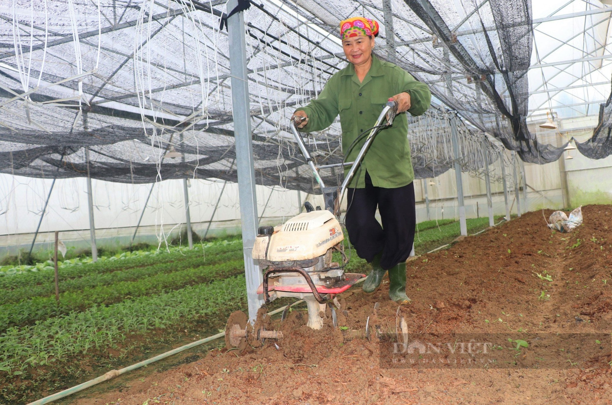 Nữ nông dân Nghệ An làm nhà màng trồng rau, quả sạch - Hình 2 Nu nong dan Nghe An lam nha mang trong rau, qua sach-Hinh-2