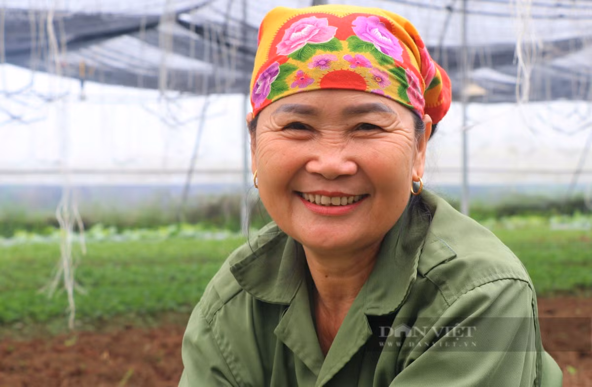 Nu nong dan Nghe An lam nha mang trong rau, qua sach-Hinh-4