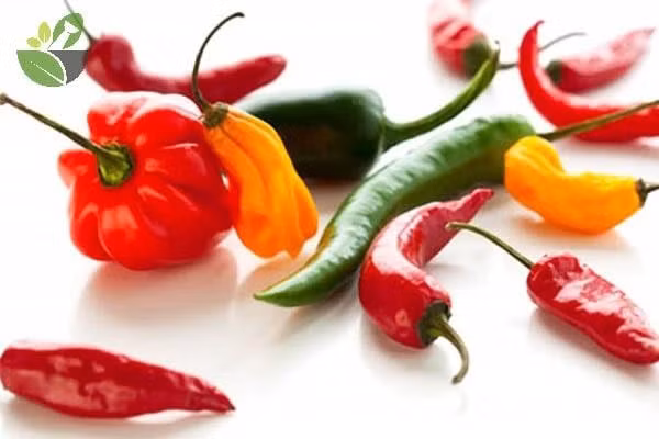 Ot giau vitamin C, nhung nhung nguoi nay tuyet doi khong nen an-Hinh-2