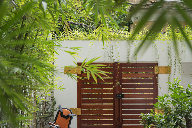 Bước chân qua cổng nhà là khoảng vườn xanh mát bao quanh hình chữ L. Phía trên cổng có cúc tần Ấn Độ rủ xuống giúp cổng nhà như một bức tranh. Quanh khu vườn bố trí các bồn trồng trúc.