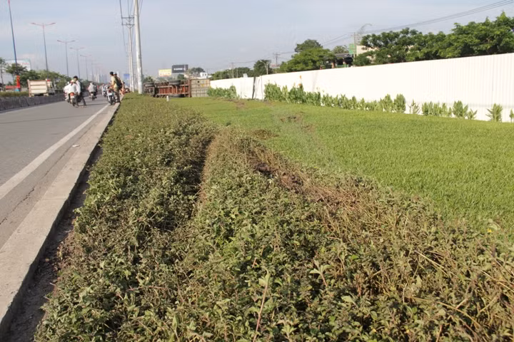 Chiếc xe từ làn xe tải lao vào làn xe máy rồi cắm sâu xuống hố