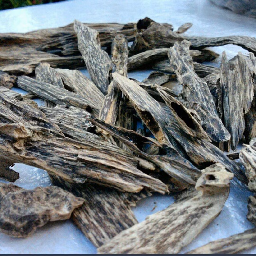 Vì sao người Nhật thích trầm hương Việt Nam đến vậy? Câu trả lời rất đơn giản. Đó là loại trầm hương có chất lượng tốt nhất chỉ có thể được tìm thấy ở Việt Nam, được biết đến với tên gọi “kỳ nam”.