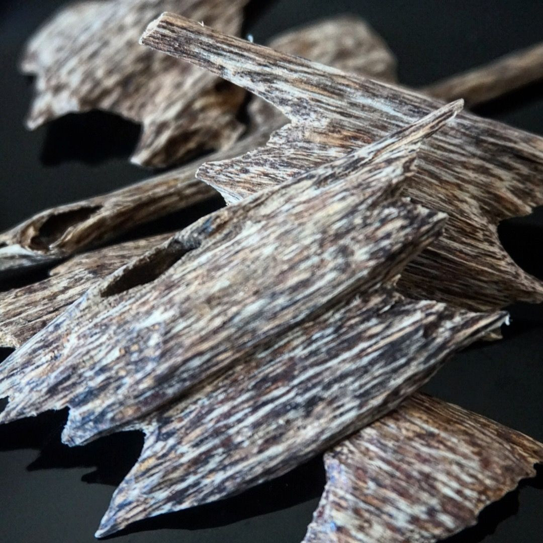 Theo nhà sử học nổi tiếng Nhật Bản Ogura Sadao, trầm là mặt hàng mà Nhật Bản nhập khẩu với số lượng lớn từ các nước Đông Nam Á (Việt Nam, Campuchia, Thái Lan…) vào cuối thế kỷ 16, đầu thế kỷ 17.