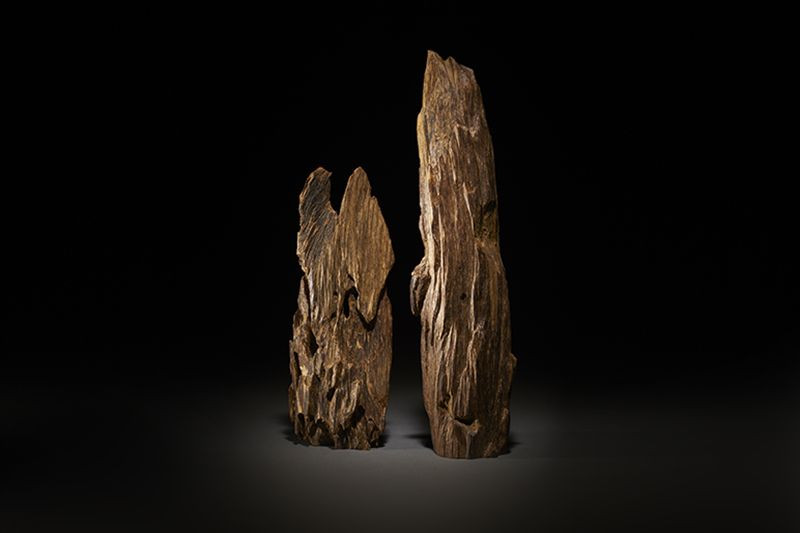 Đáp lại lời thỉnh cầu của nhà lãnh đạo Nhật Bản, trong hai năm 1605 và 1606, chúa Nguyễn Hoàng đã gửi một số tặng vật đáp lễ, mỗi lần gồm một miếng trầm “kỳ nam”.