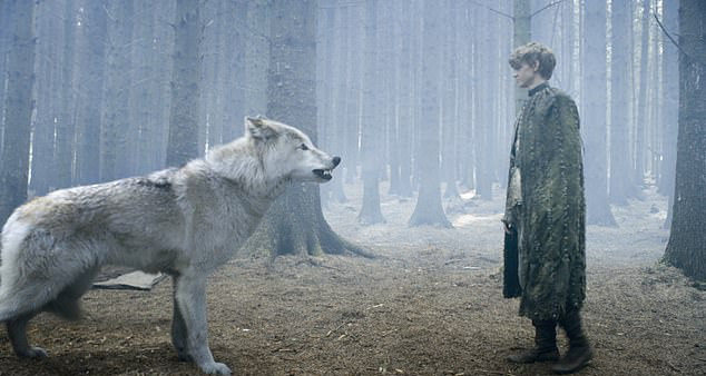 Phat hien choang vang tu hoa thach 4.000 ma soi ky bang ha