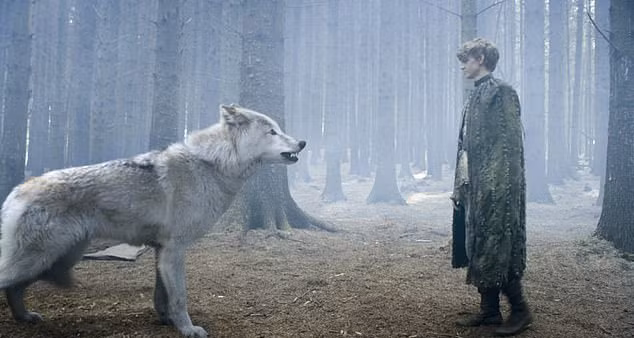 Phat hien choang vang tu hoa thach 4.000 ma soi ky bang ha