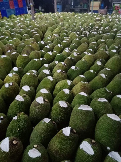 Qua mit bi cat dau, boi chat trang truoc khi mang ban vi sao?-Hinh-2