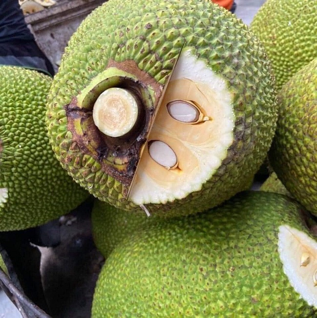 Qua mit bi cat dau, boi chat trang truoc khi mang ban vi sao?