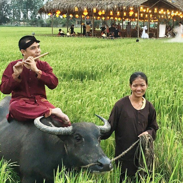 “Đàn gảy tai trâu”. Câu này để chê những người không biết thưởng thức nghệ thuật, như con trâu nghe tiếng nhạc mà mặt thộn ra vì chẳng hiểu đó là âm thanh gì.