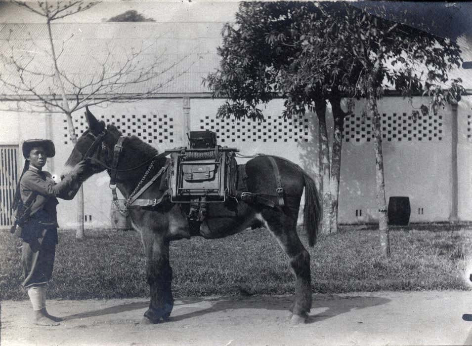 Ngày xưa, việc chuyển thư từ, công văn được thực hiện nhờ người và ngựa. Vì vậy, nhà nước phong kiến đặt ra các trạm và tuyển mộ các loại lính trạm, phu trạm.