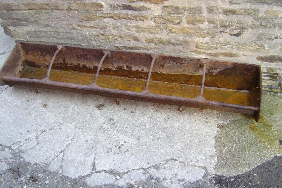 Hiểu rộng hơn, một kẻ đã vô tâm với những con vật mình nuôi thì hẳn cũng sẵn lòng hành xử nhẫn tâm với người khác. Nói vật để chỉ người là như vậy...