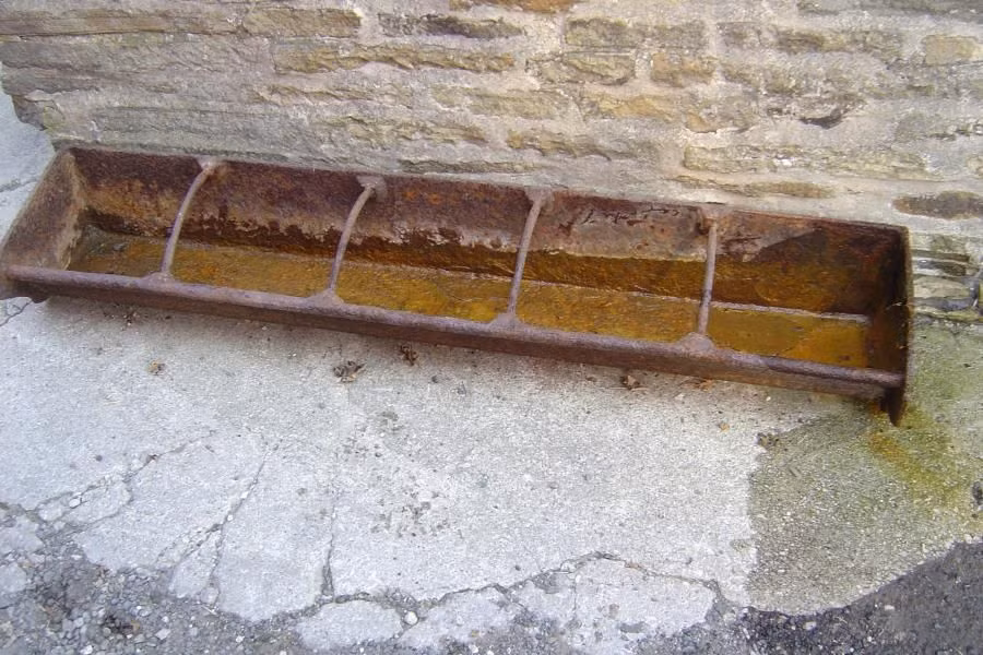 Hiểu rộng hơn, một kẻ đã vô tâm với những con vật mình nuôi thì hẳn cũng sẵn lòng hành xử nhẫn tâm với người khác. Nói vật để chỉ người là như vậy...