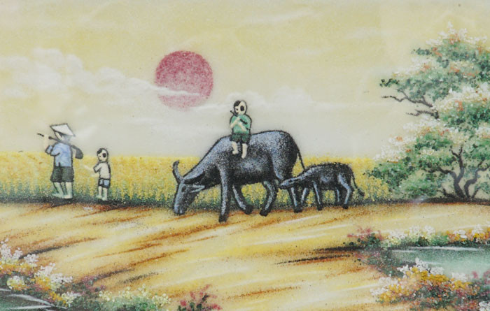 Cau be chan trau nao tro thanh tien si Viet Nam?