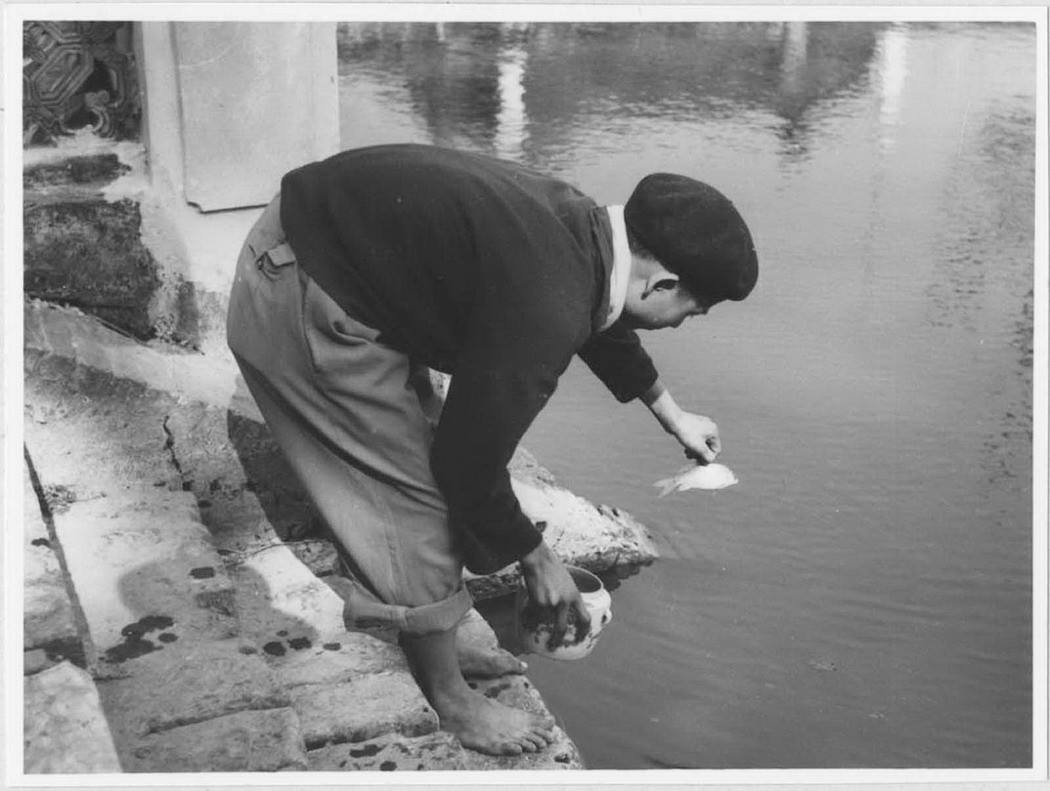 Thả cá chép sống xuống hồ sau khi cúng vào ngày đưa ông Táo về trời.