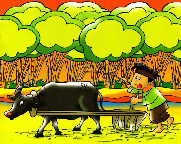 Trong kho tàng truyện cổ tích Việt Nam, hình ảnh trâu hiện diện khá thường xuyên. Điển hình là truyện “Trí khôn của ta đây” đã được đưa vào chương trình giáo dục tiểu học, có nội dung đề cao tài trí của con người và lý giải nguyên nhân của việc trâu không có răng ở hàm trên.