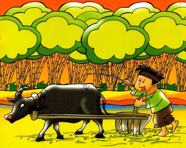 Trong kho tàng truyện cổ tích Việt Nam, hình ảnh trâu hiện diện khá thường xuyên. Điển hình là truyện “Trí khôn của ta đây” đã được đưa vào chương trình giáo dục tiểu học, có nội dung đề cao tài trí của con người và lý giải nguyên nhân của việc trâu không có răng ở hàm trên.