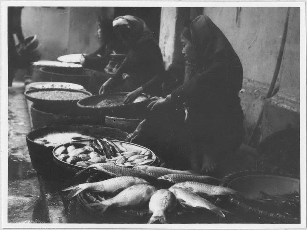 Hàng bán cá chép ở chợ Tết Hà Nội dịp Tết Nguyên đán Ất Mùi, 1955. Ảnh: Viện Viễn Đông Bác Cổ (EFEO).