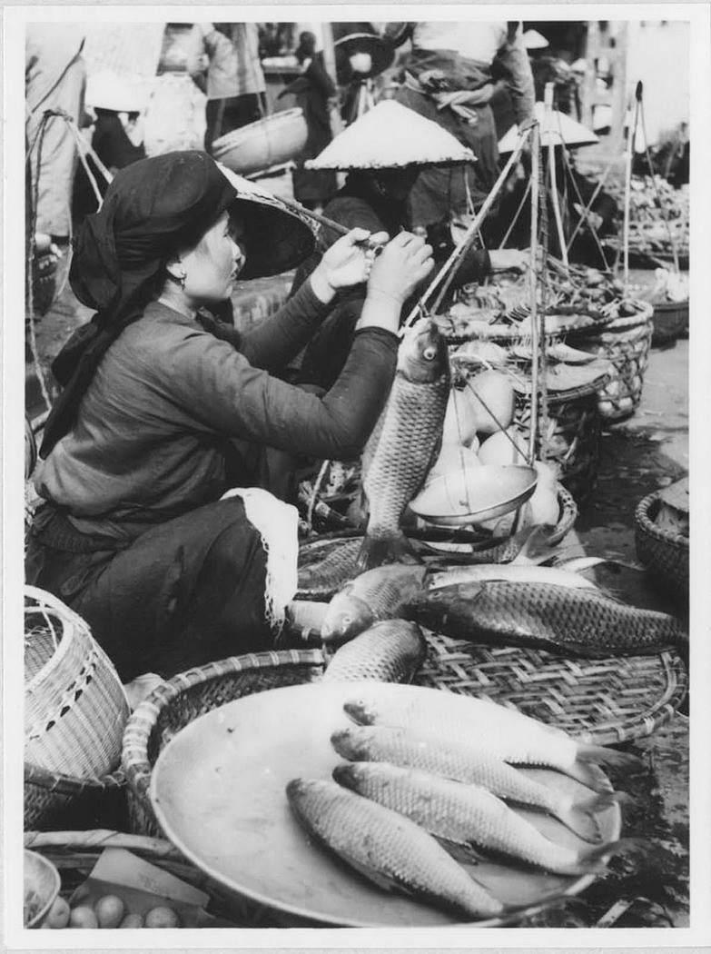 Bà bán cá đang cân con cá chép ở chợ.