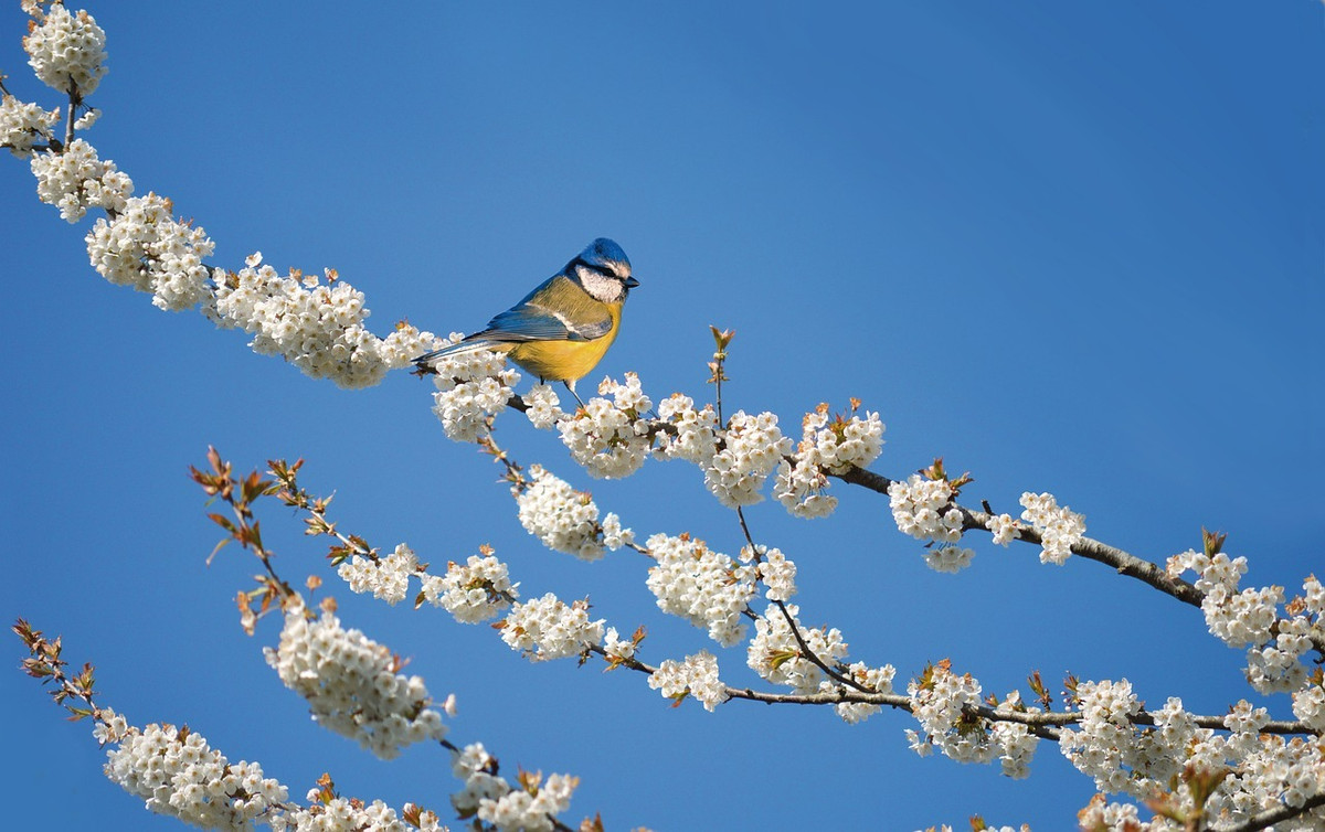 Nguoi sinh vao 4 ngay Am lich nay can cu, hau van thanh dat-Hinh-4