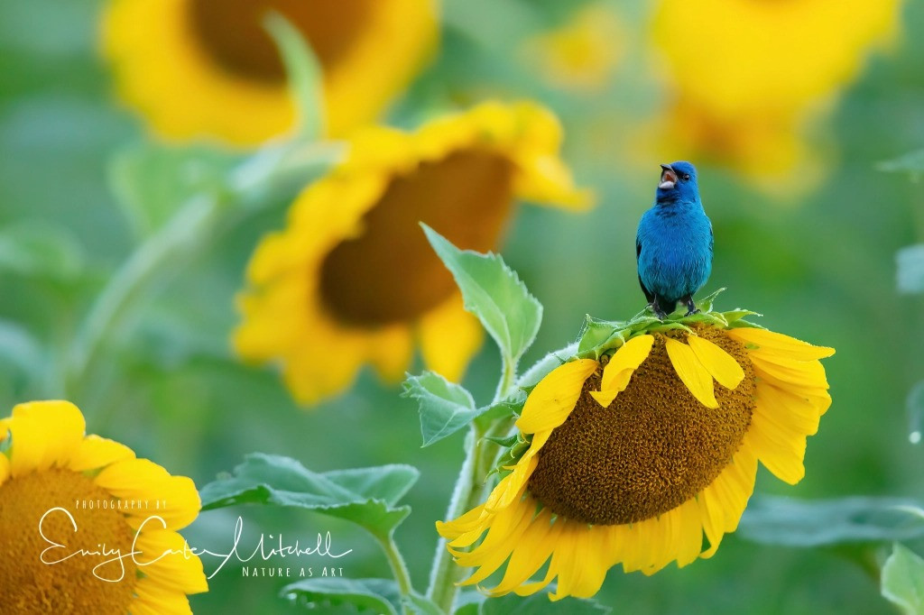 Nguoi sinh vao 4 ngay Am lich nay can cu, hau van thanh dat-Hinh-2