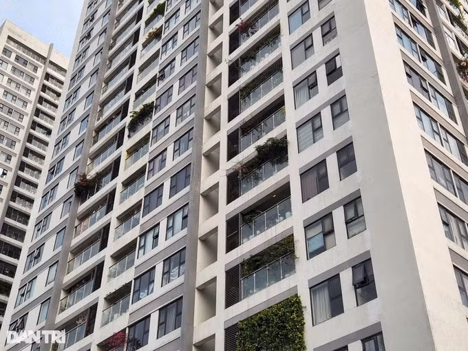 Lat tay chieu tro rao ban cat lo can ho chung cu-Hinh-2