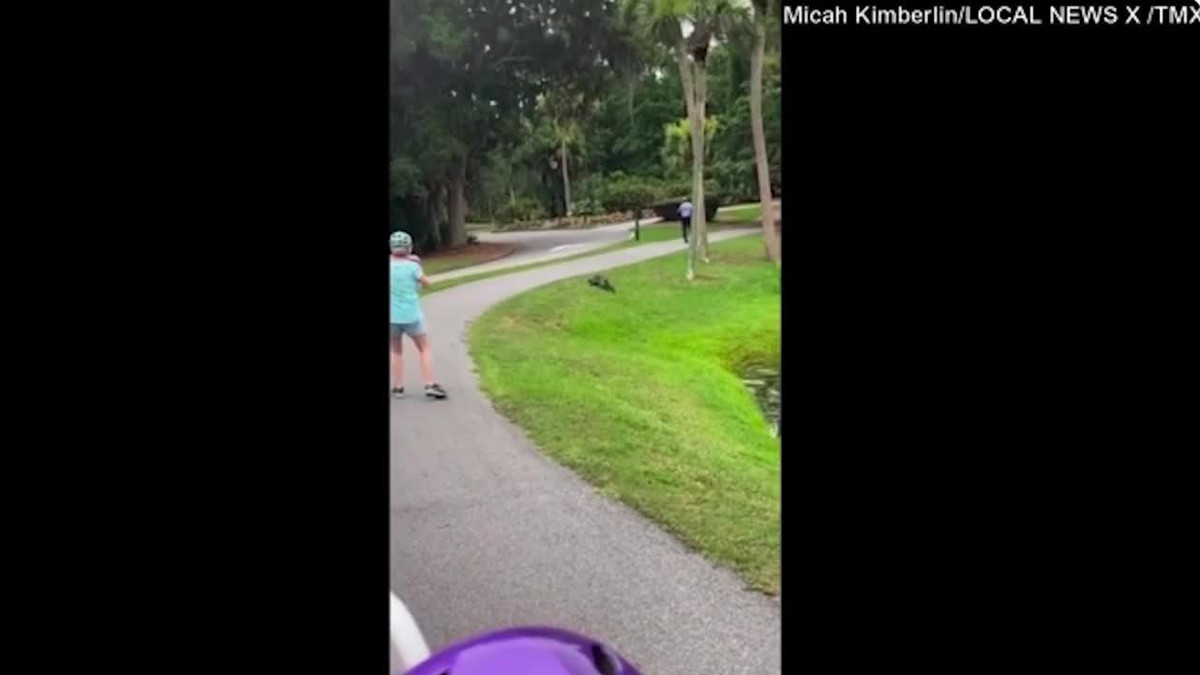 Video: Dang cau ca, nguoi dan ong bi ca sau lao len tan cong