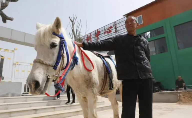 Dut tui vai trieu/ngay nho nuoi loai vat trong Tay Du Ky
