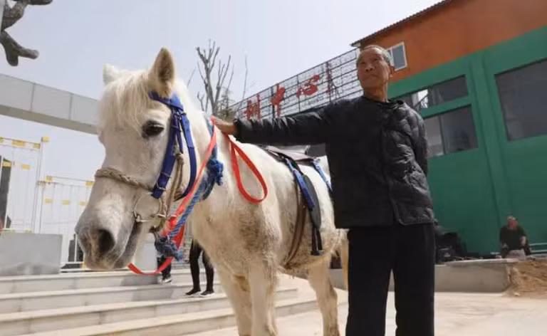 Dut tui vai trieu/ngay nho nuoi loai vat trong Tay Du Ky