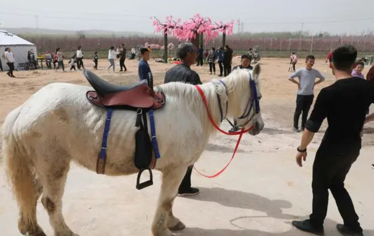 Dut tui vai trieu/ngay nho nuoi loai vat trong Tay Du Ky-Hinh-3