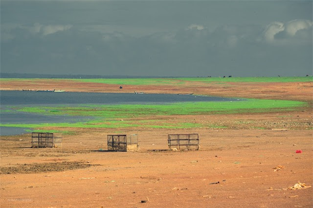 "Nhà mình cách hồ Trị An khoảng 10km, khi còn độc thân, thi thoảng mình và các bạn học rủ nhau ra hồ cắm trại qua đêm, rồi mình kết hôn, bận rộn lo cho gia đình, không ghé nữa. Không ngờ, cuối tuần rồi, tranh thủ đưa cả nhà về thăm ông bà ngoại, mọi người lại đến hồ picnic nên mới biết mùa này, hồ đẹp như thế" - chị Vũ Thị Hồng Hạnh, nhà ở thị trấn Vĩnh An, Đồng Nai chia sẻ.