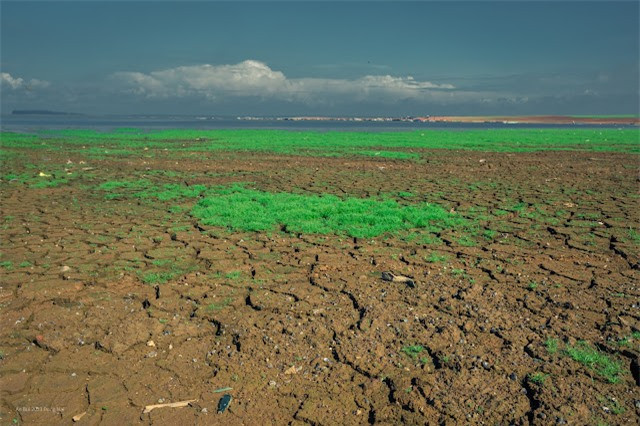 Hồ Trị An rộng 32.000ha và từng đượcđược mệnh danh là một trong những hồ nước rộng, có quang cảnh đẹp nhất của miền Nam. Song, hiện là thời điểm lòng hồ cạn nước, khô và nứt nẻ.