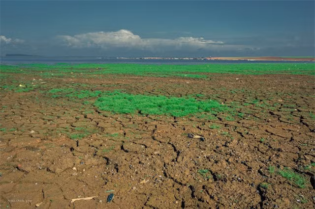 Hồ Trị An rộng 32.000ha và từng đượcđược mệnh danh là một trong những hồ nước rộng, có quang cảnh đẹp nhất của miền Nam. Song, hiện là thời điểm lòng hồ cạn nước, khô và nứt nẻ.