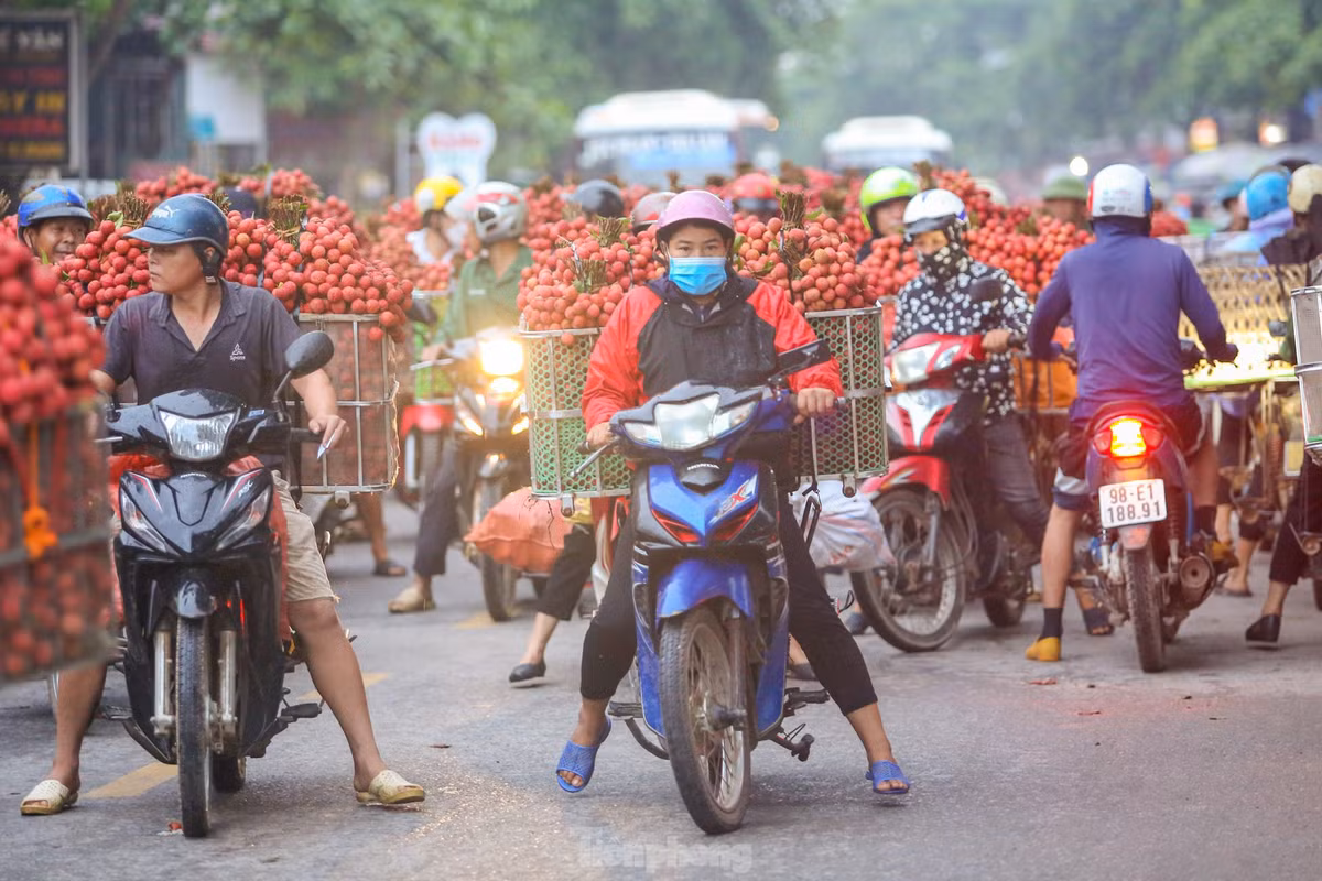 Năm nay thủ phủ vải của Bắc Giang trúng mùa lớn, quả đẹp, thơm ngọt, giá bán trung bình từ 20.000 đến 25.000 đồng/kg.