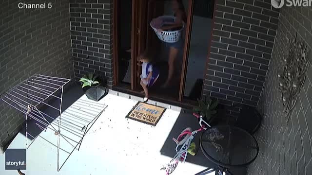 Video: Me phan ung cuc nhanh, cuu con thoat khoi ran doc