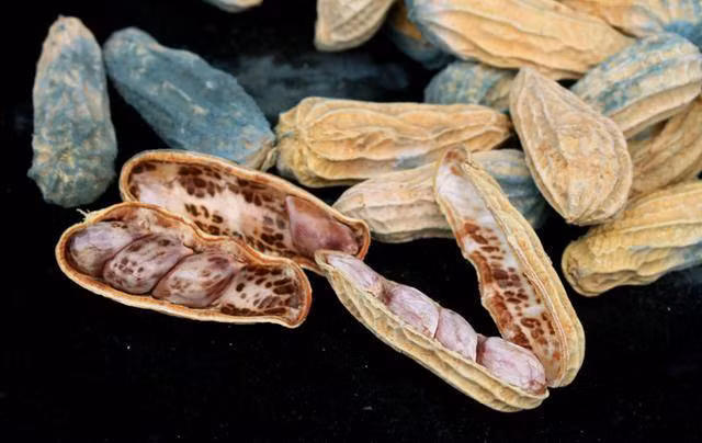 Loai hat be ti ti, lai la kho dinh duong, giup tim khoe, xuong manh-Hinh-7