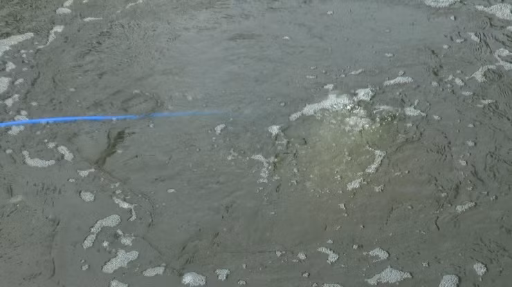 Nghề lặn mò con hai mảnh cho thu nhập cao nhưng rất cực nhọc. Người làm nghề phải có sức khoẻ tốt, biết bơi và chịu lạnh giỏi.