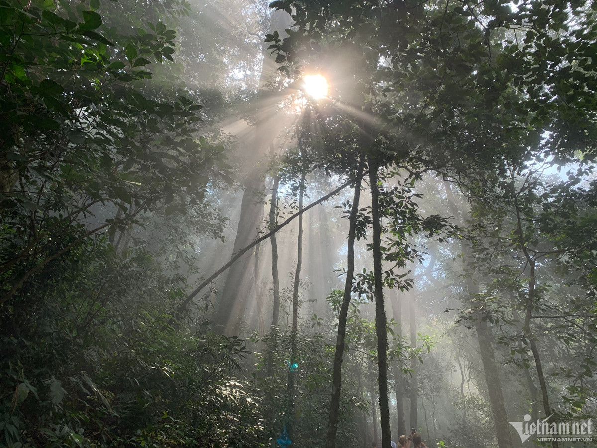 Thue chi chong lam giup viec, khong ngo bi nhom ngo khap phong ngu
