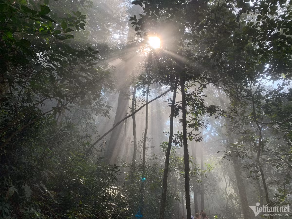 Thue chi chong lam giup viec, khong ngo bi nhom ngo khap phong ngu