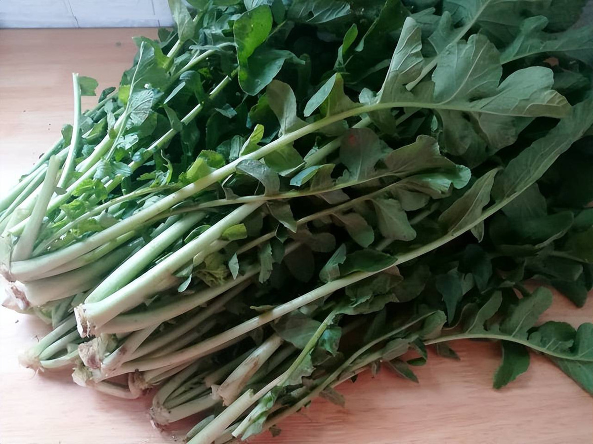 Loại rau có củ và lá cực giàu dinh dưỡng, canxi gấp 4 lần sữa - Hình 5 Loai rau co cu va la cuc giau dinh duong, canxi gap 4 lan sua-Hinh-5