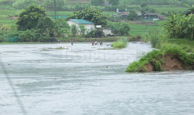 Một số người dân không quản nguy hiểm, vớt vật dụng và các cây gỗ trong khu vực ngập nước.