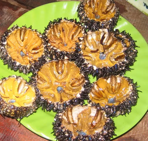  Thịt nhum kết thành năm hoặc tám múi như múi cam, mầu trắng hồng, có thể kho để ăn cơm hoặc trộn vào trứng chưng cách thủy, tráng chả, nhưng thú nhất là ăn sống - thịt nhum tươi chấm với muối tiêu và chanh, kèm theo mấy cọng rau thơm, thêm vài hớp rượu là ngon hết ý.