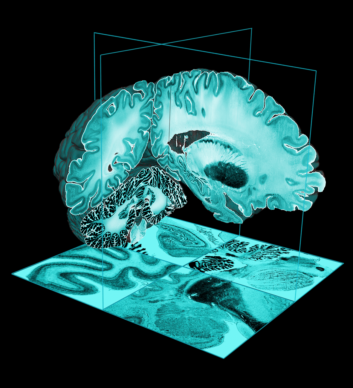 CIA tiet lo ke hoach bi mat cua My nghien cuu tiem nang con nguoi-Hinh-4